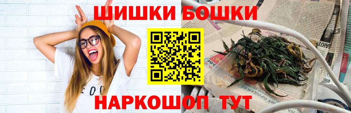 Бошки Шишки планчик Кашира
